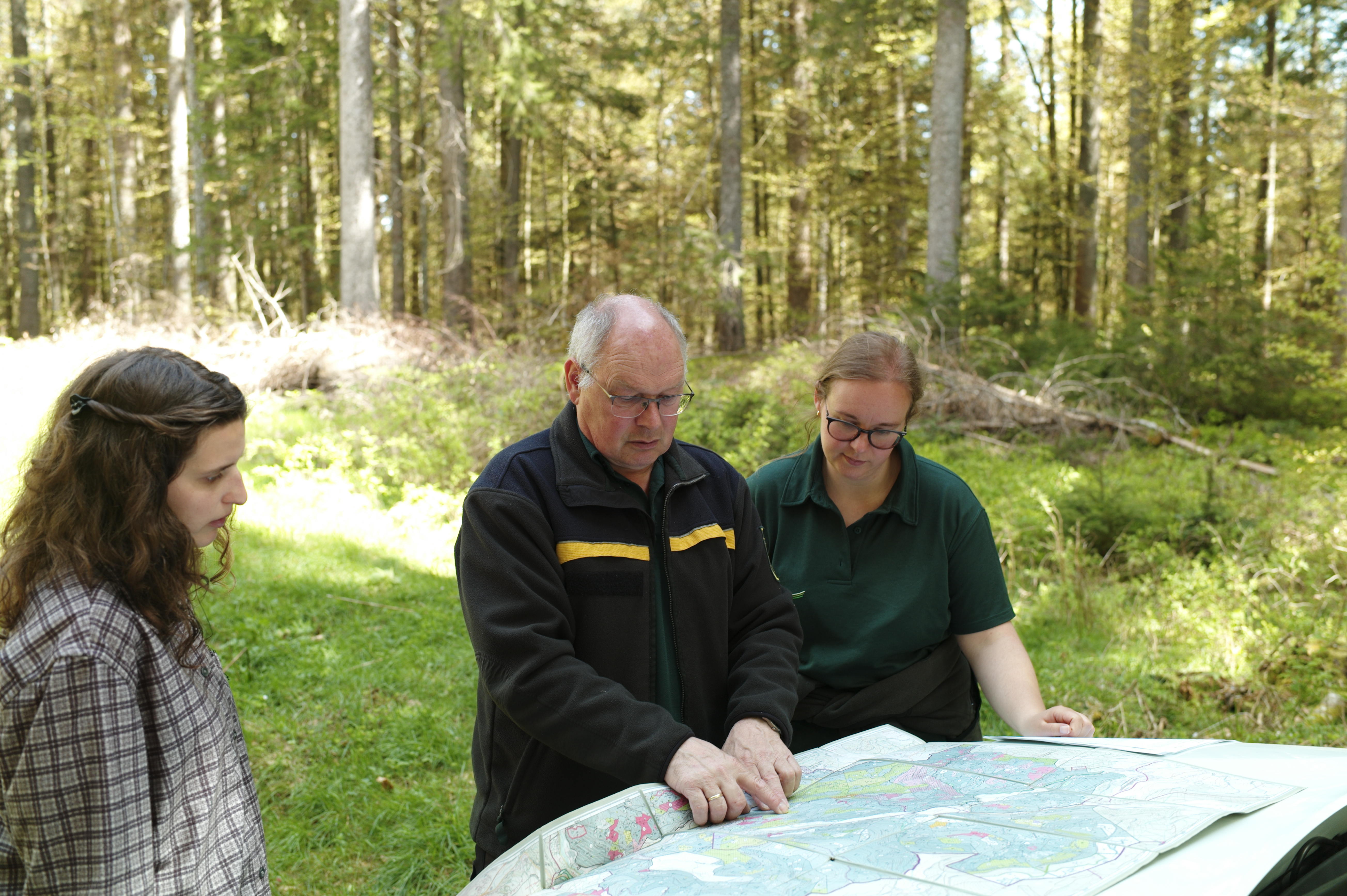 Drei Menschen stehen mit einer Karte im Wald